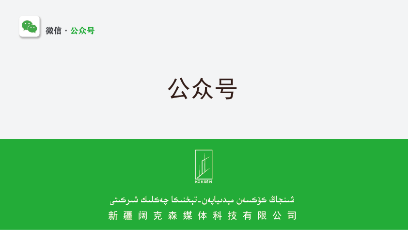 سالون باشقۇرۇش